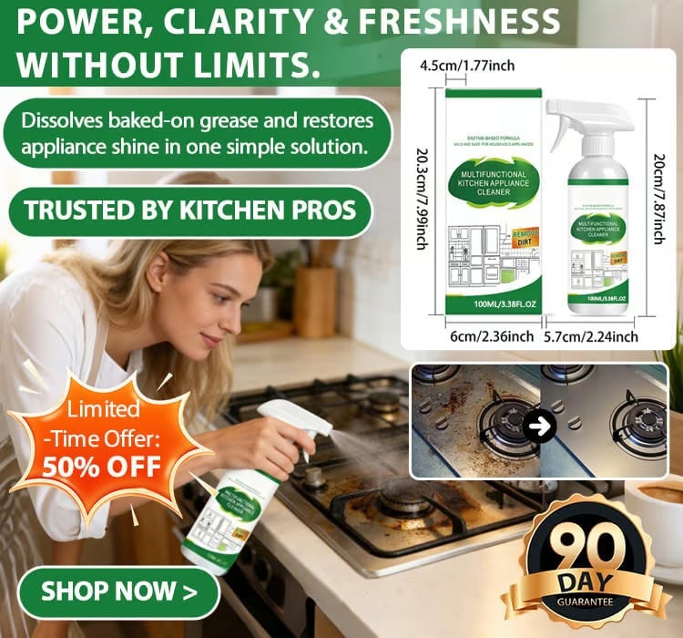 Multifunctional Kitchen Appliance Cleaner