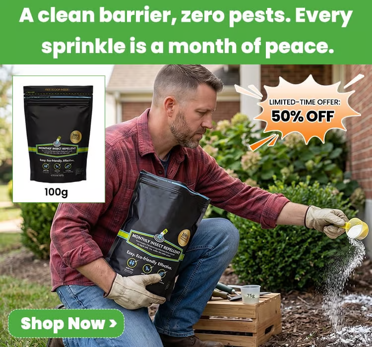 Insect Repellent Powder