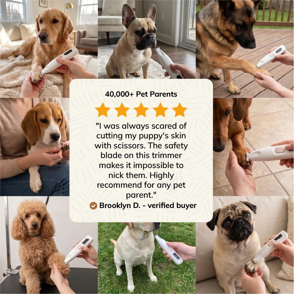⏰Limited-time offer: 60% OFF 🐾Pet Hair Trimmer