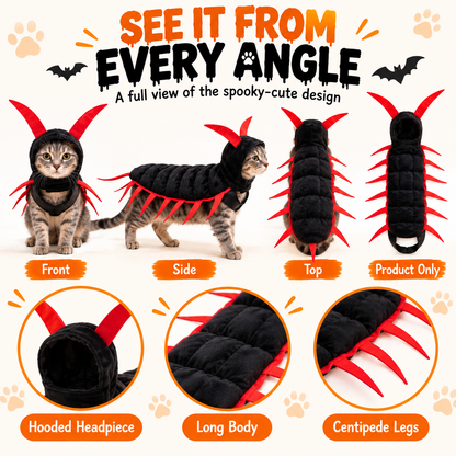 🐱🎃 WANT YOUR CAT TO STEAL THE SHOW THIS HALLOWEEN? 👀🪱 👻 Skip Ordinary Pet Costumes — This Creepy-Cute Centipede Look Is Impossible to Ignore!
