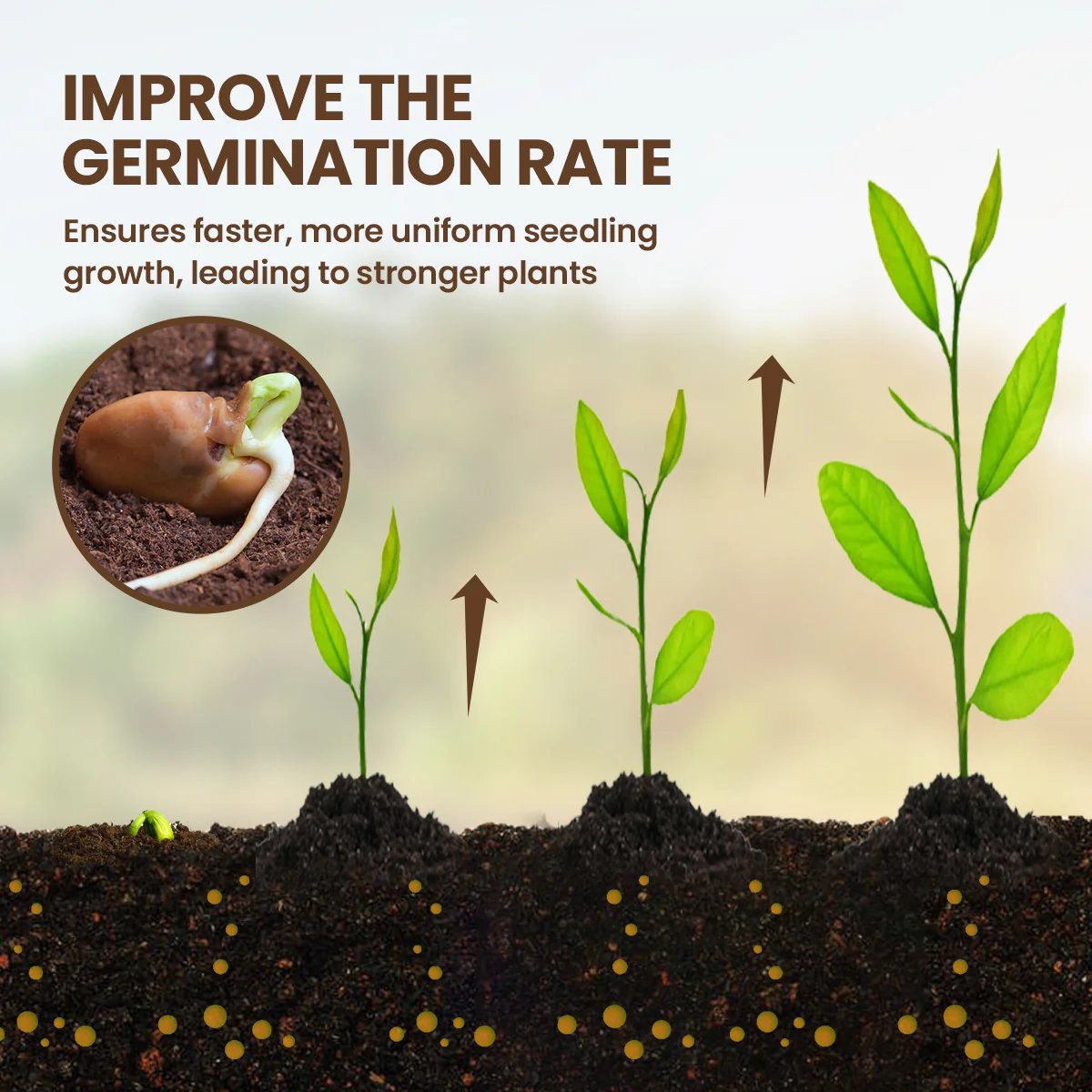 🏆100K+ SOLD! 🌳Soil Pro Activator