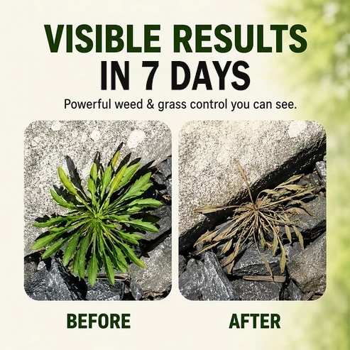 🌿🚨 WEEDS EVERYWHERE? STOP PULLING THEM BY HAND! 😩 🔥 A FAST-ACTING NATURAL SPRAY FOR A CLEANER, WEED-FREE-LOOKING YARD! ✨