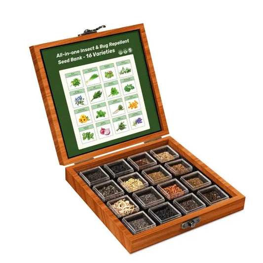 💎Complete Companion Plant Seed Bank - 16 Organic Gardening Plant Seeds, Including Vegetables and Flowers (with instructions for use, planting guide, and characteristics of each plant).🧡