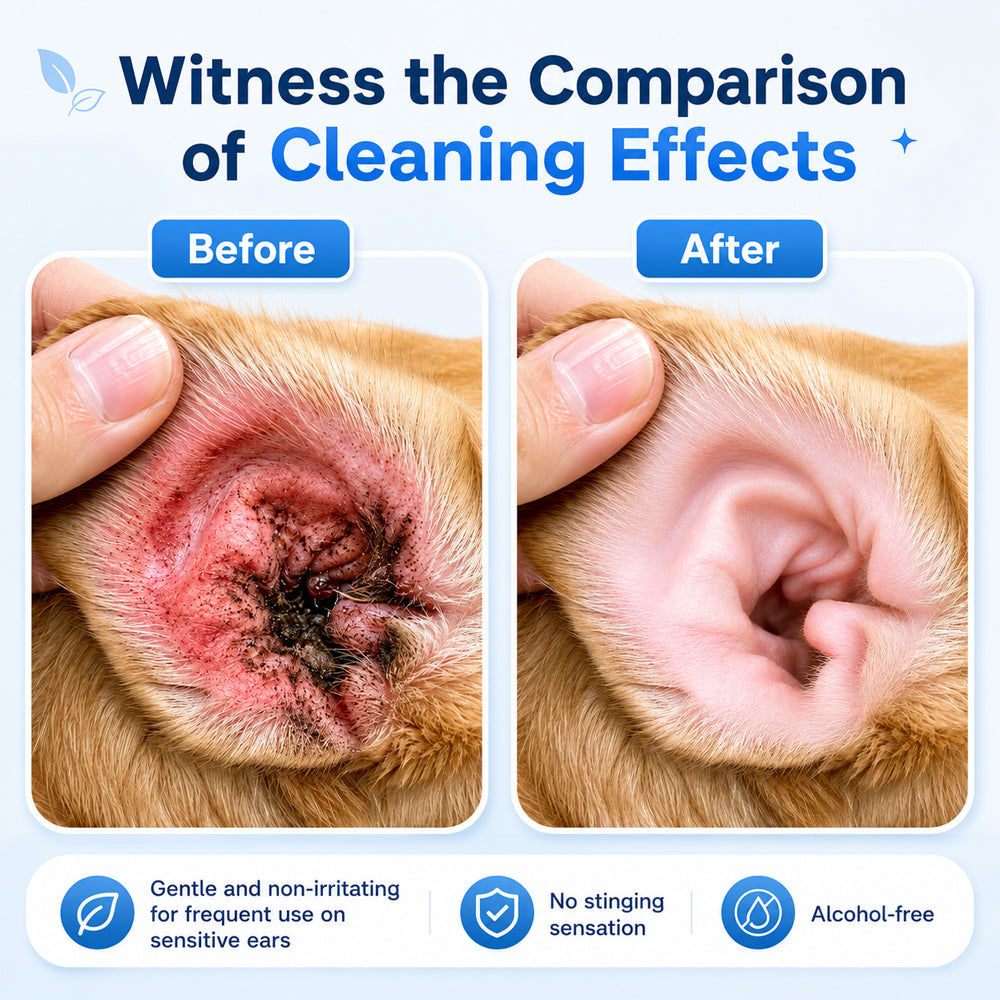 🐶🐱 Pet Ear Cleansing Solution – Clean Away Dirt, Wax & Buildup