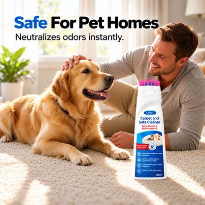 No-Wash Carpet & Sofa Cleaner with Brush