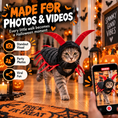 🐱🎃 WANT YOUR CAT TO STEAL THE SHOW THIS HALLOWEEN? 👀🪱 👻 Skip Ordinary Pet Costumes — This Creepy-Cute Centipede Look Is Impossible to Ignore!