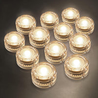 Warm White Lights (12 Pack)