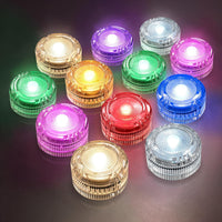 Multicolor Lights (12 Pack)