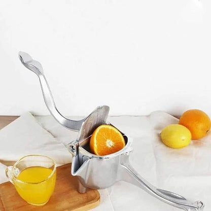 304 Stainless Steel Juicer – 🍹Fresh Juice in 30 Seconds