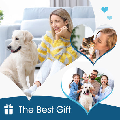🐶🐱 Tired of Your Pet Scratching & Shaking Their Head? 👂 Soothe Itchy Ears & Keep Them Clean!
