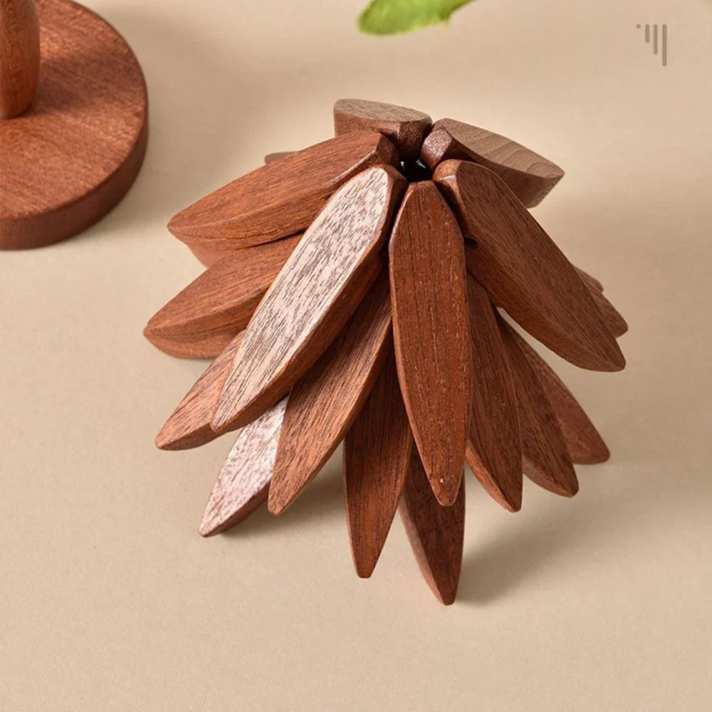 Gros plan sur les feuilles en bois sombre du sapin