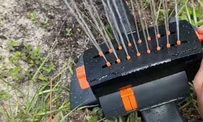 User review photo