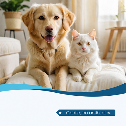 🐶🐱 Tired of Your Pet Scratching & Shaking Their Head? 👂 Soothe Itchy Ears & Keep Them Clean!