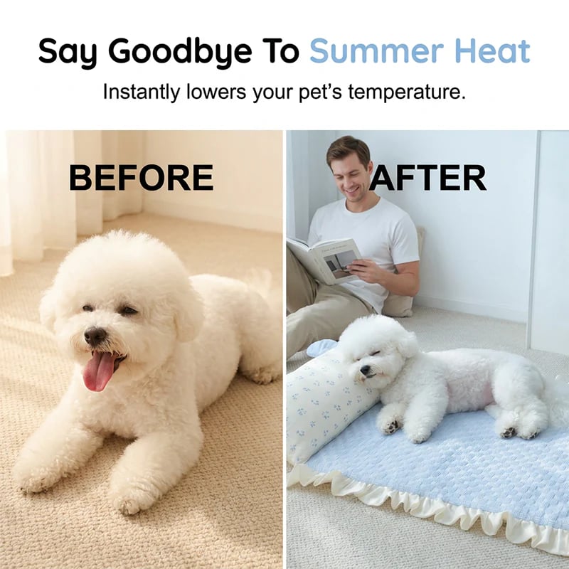 🥳SUMMER HOT SALE💞80K+ SOLD😍!Pet Cooling Mat with Pillow