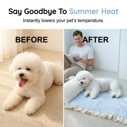 🥳SUMMER HOT SALE💞80K+ SOLD😍!Pet Cooling Mat with Pillow
