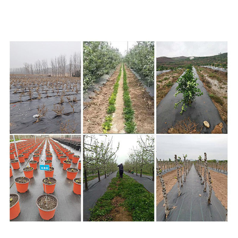⛏🌿 Weed Control Fabric – Blocks Sunlight, Breathable & Perfect for Garden Beds & Pathways 📉